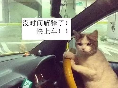 快上车